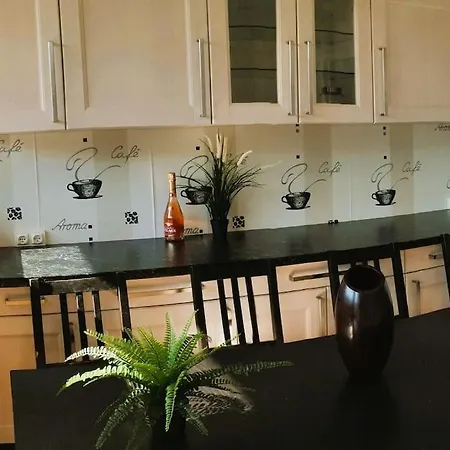Résidence Du Parc De Lyon Est 102m2 Pkg Free Apartamento *